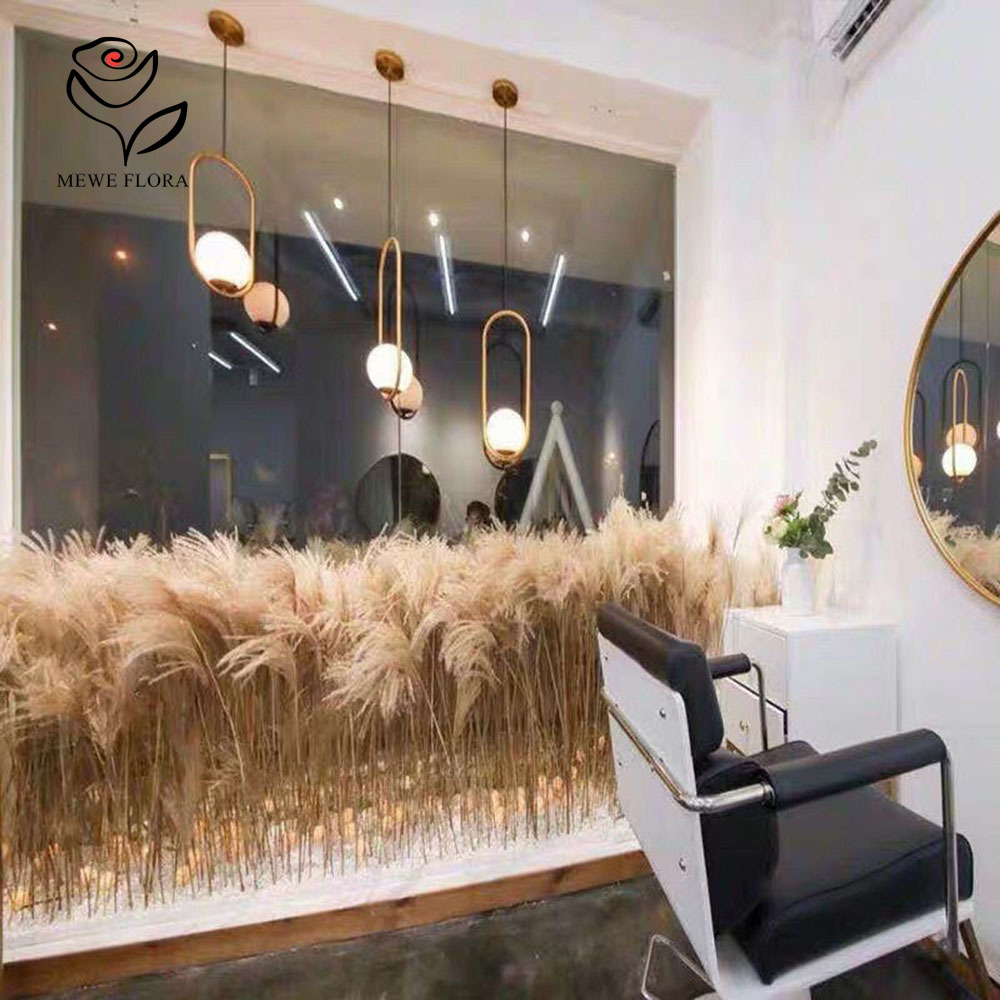 200PCS Natural Dried Fluffy Re - đánh giá và giá Quiet Luxury Lifestyle