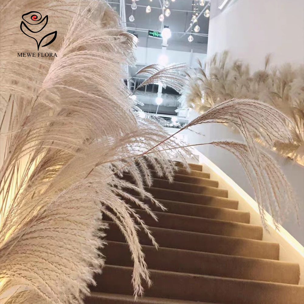 200PCS Natural Dried Fluffy Re - đánh giá và giá Quiet Luxury Lifestyle