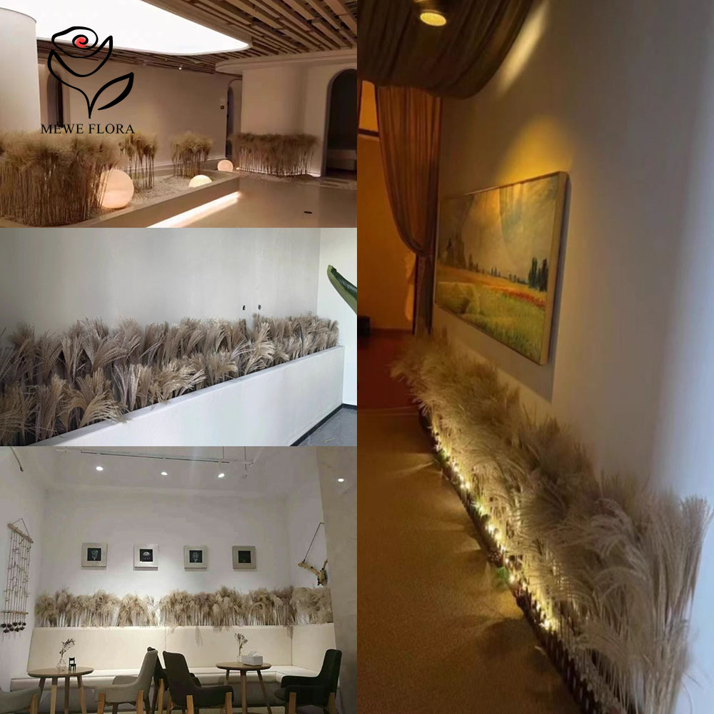 200PCS Natural Dried Fluffy Re - đánh giá và giá Quiet Luxury Lifestyle